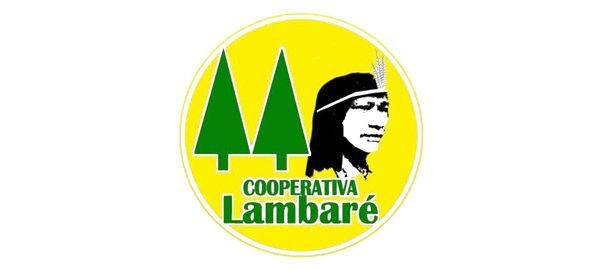 Pago con Cooperativa Lambare